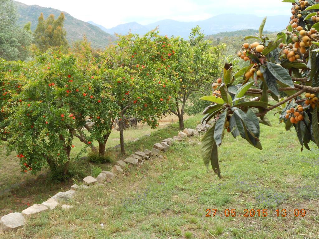 S'Imbragu Farm B&B Tortolì Esterno foto