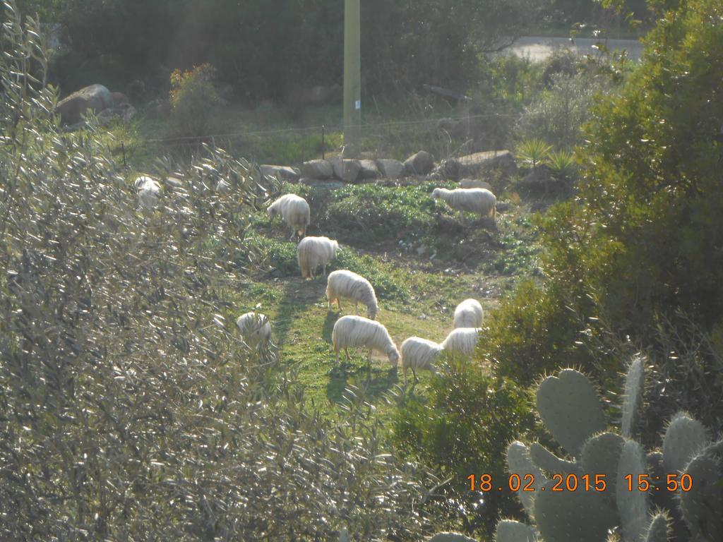 S'Imbragu Farm B&B Tortolì Esterno foto