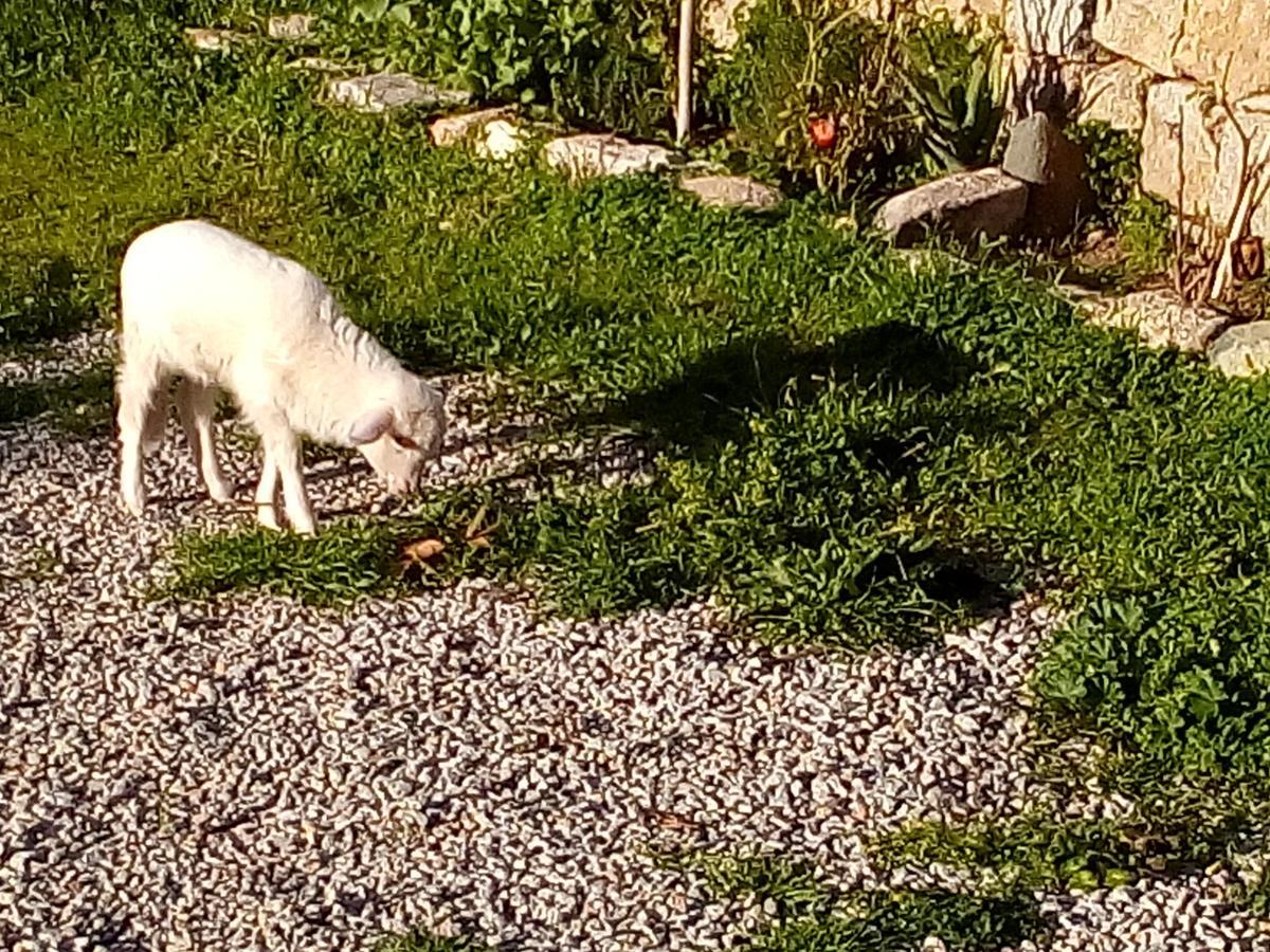 S'Imbragu Farm B&B Tortolì Esterno foto